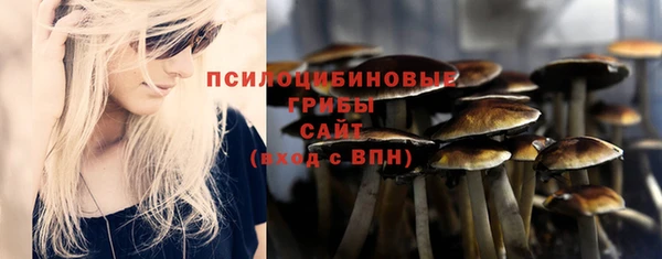 дурь Абдулино