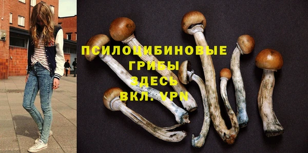 дурь Абдулино