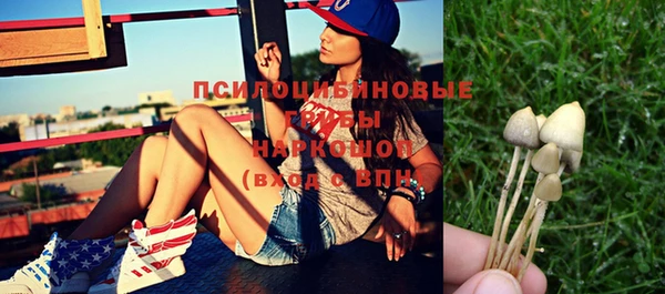 дурь Абдулино