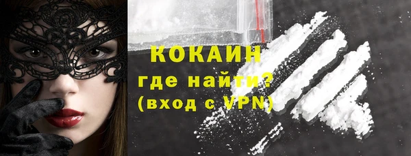 индика Сафоново