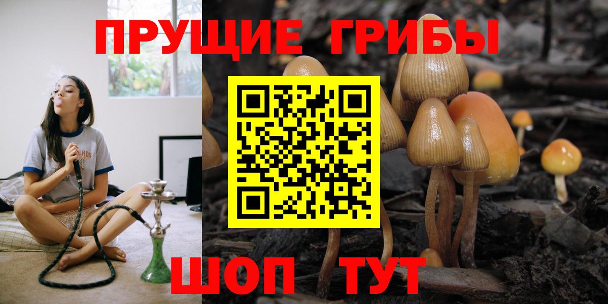 Галлюциногенные грибы ЛСД  даркнет сайт  Галлюциногенные грибы MAGIC MUSHROOMS  Азов  Вход с VPN 